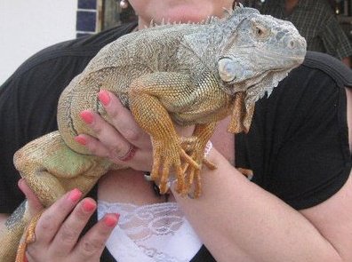 Holding my buddy in downtown Cabo