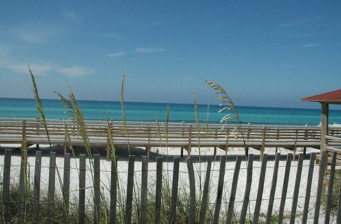 Destin Dune and Seagrass Destin Dune and Seagrass