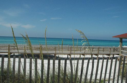 Destin Dune and Seagrass