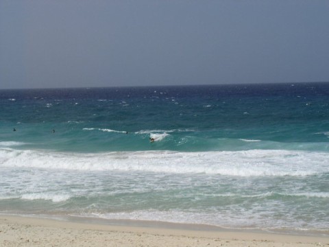 Surfing Dos Playa Aruba Surfing Dos Playa Aruba