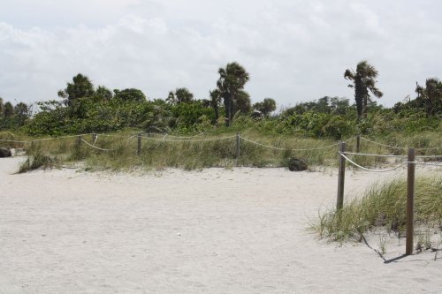 John U. Lloyd State Park Dunes