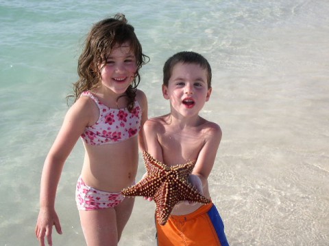 Aruba Beaches Starfish