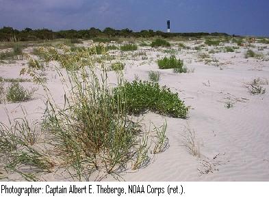 Sullivans Island South Carolina Lighthouse